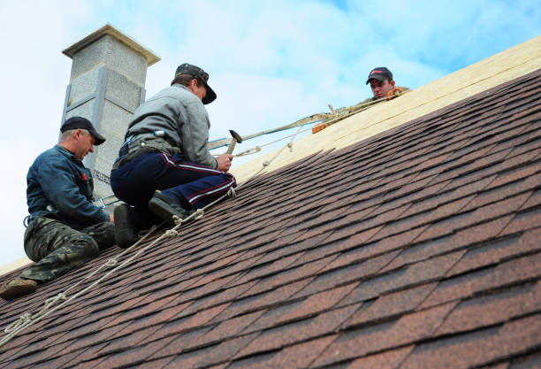Roof Waterproofing Services in Castle Hills, TX